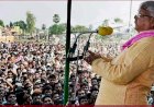 लालू से भूरा बाल क्यों घृणा करता है !