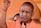 ‘‘मैं सूअर और तू मेरा बच्चा’’