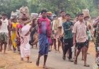 इन वजहों से आदिवासी डा. आंबेडकर को अपना नेता नहीं मानते हैं -ग्लैडसन डुंगडुंग