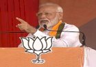 प्रधानमंत्री नरेंद्र मोदी ने कश्मीर मसले पर कांग्रेस को कोसा,कहा-दूसरे देश में बैठे लोग नहीं, हम और कश्मीरी तय करेंगे कश्मीर की तकदीर!