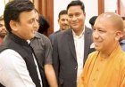 उत्तर प्रदेश उपचुनाव में बीजेपी 11 और एसपी 3 सीटों पर दर्ज की जीत, बीएसपी का खाता भी नहीं खुला