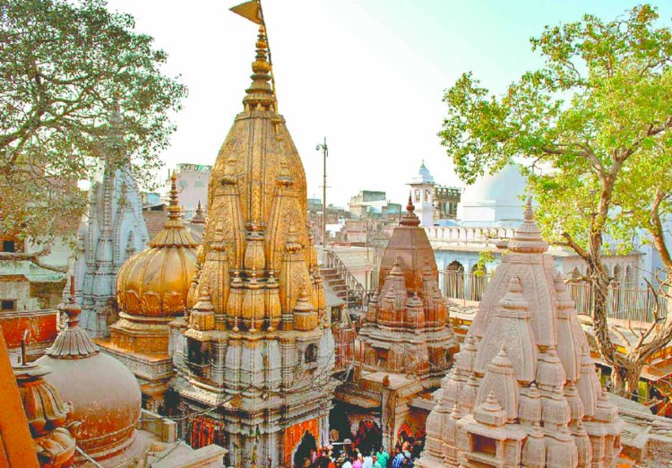 बाबा विश्वनाथ को अब पैकेट वाले दूध से नहीं हो सकेगा अभिषेक, काशी विश्वनाथ मंदिर न्यास परिषद ने तत्काल प्रभाव से लगाई रोक